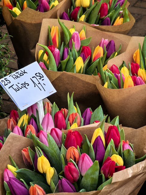 Multiple bouquets of fresh tulips with vibrant pink, yellow, purple, and orange petals, wrapped in brown craft paper and arranged in neat rows. Each bouquet has green stems and leaves, with some stems